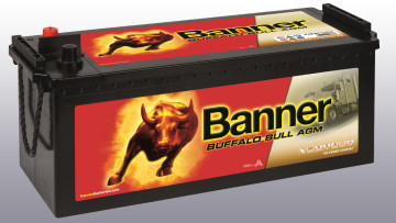Banner Buffalo Bull AGM