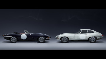 Jaguar ZP Collection