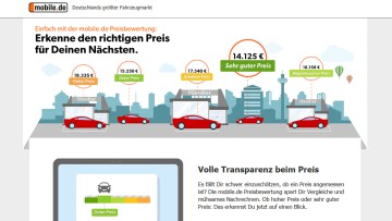 Fachgruppe Fabrikatsvereinigungen: Mobile.de scharf kritisiert