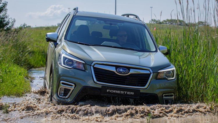 Fahrbericht Subaru Forester: Mildhybrid für den Offroad-Einsatz