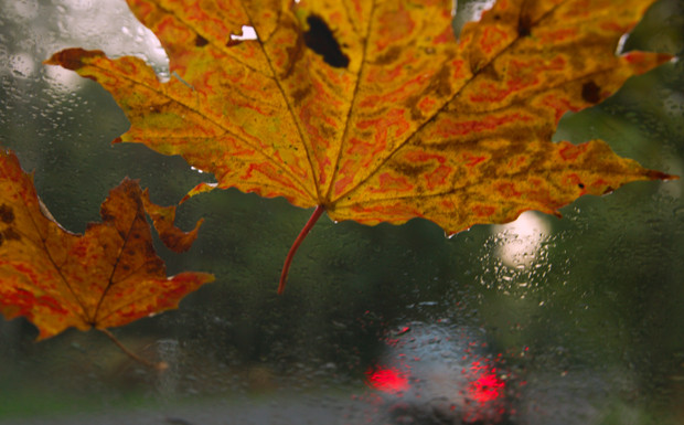 Vorsicht beim Autofahren im Herbst