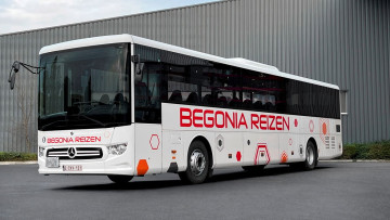 Ein Intouro für Begonia-Reizen: Platzwunder ist Unternehmens-Liebling