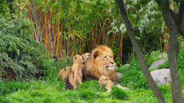 Touristik: Der Zoo Leipzig öffnet wieder