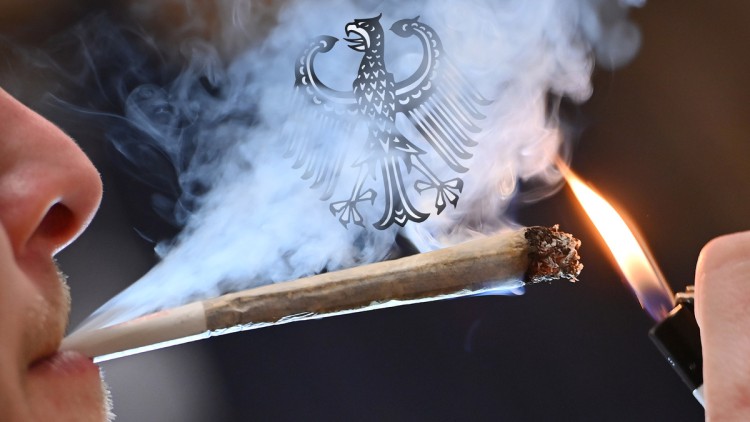Mann raucht Cannabis, deutscher Adler hustet im Rauch