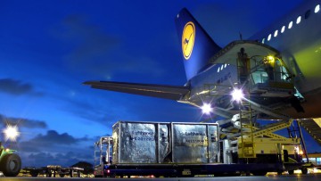 Platz 16: Lufthansa 