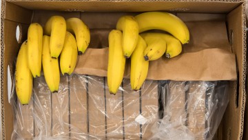 Kokain im Bananentransport