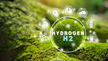 Grüner Wasserstoff Symbol im Wald