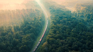 TV_Schienengüterverkehr, Güterzug fährt durch Wald