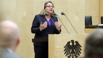 Svenja Schulze, Bundesrat