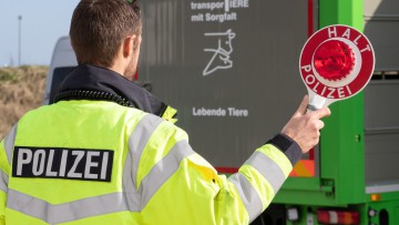 Ein Polizeibeamter hält eine Kelle „Halt Polizei“ vor einen Tiertransporter mit der Aufschrift „Ich transportiere mit Sorgfalt - Lebende Tiere“ bei einer Kontrolle auf der A33 im Oktober 2021.