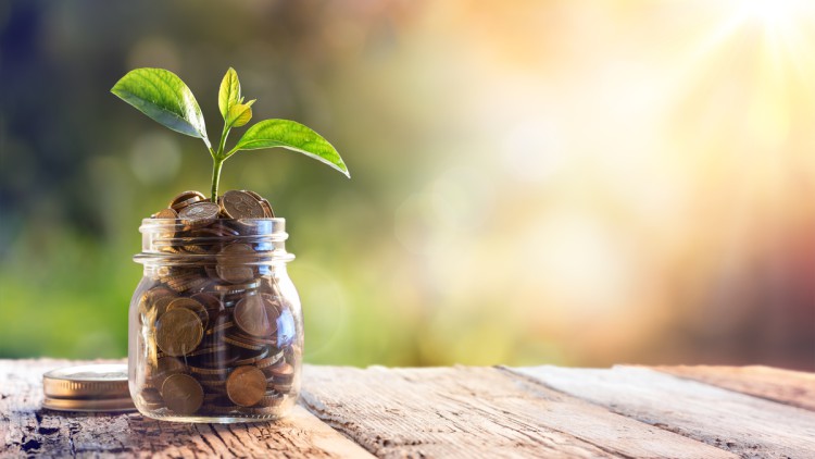 Förderpgramme Klimaschutz, Geld in Vase mit kleiner Pflanze