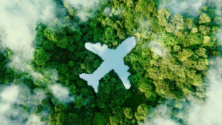 grüne Luftfracht; Flugzeug im Wald