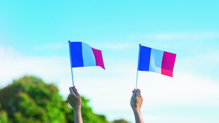 2 Frankreich Flaggen