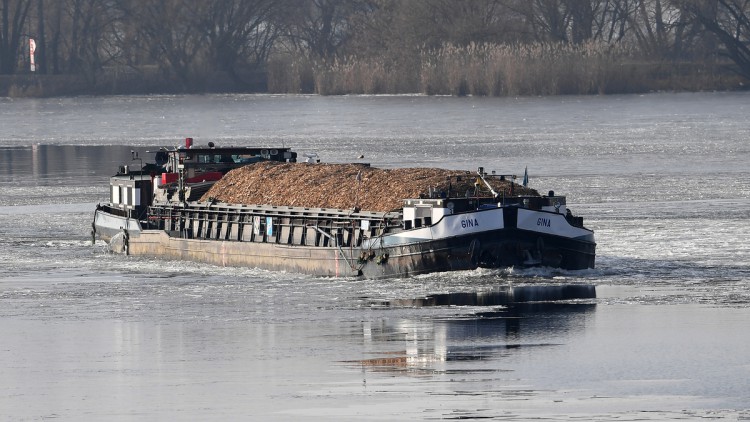 Binnenschiffer atmen auf - Grundwasser am Rhein bleibt aber niedrig 