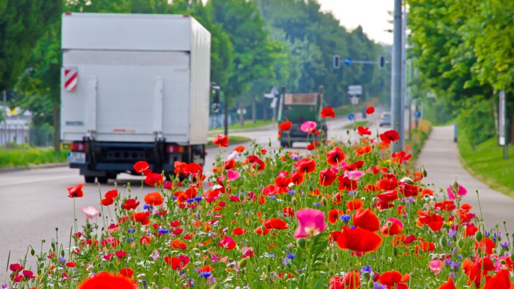 Zwei Lkw fahren auf einer mehrspurigen Straße, in einer Stadt. Im Vordergrund blühen bunte Blumen, in der Straßenmitte und am Rand vermittelt Baumbewuchs den Eindruck von viel Straßenbegleitgrün